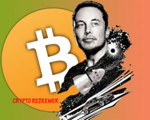 famous bitcoin investors