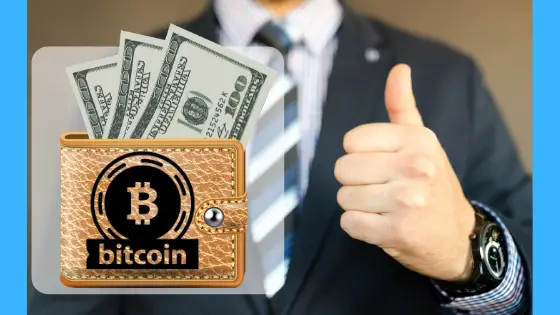 best bitcoin wallet in Nigeria