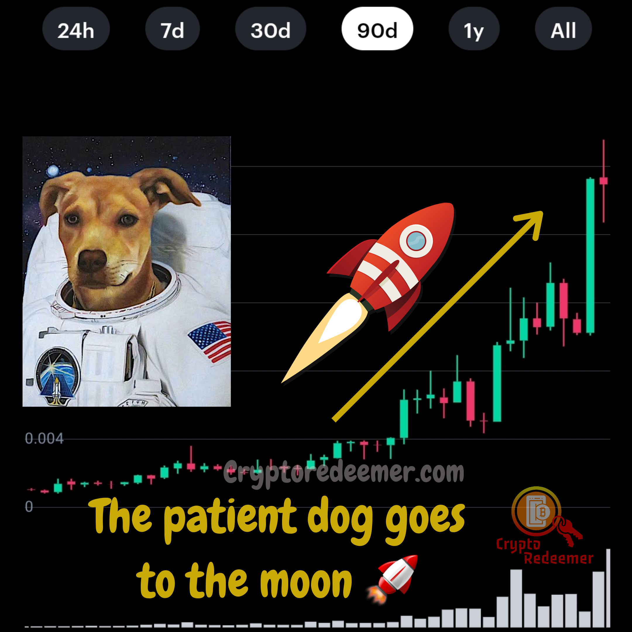 Patient-dog-goes-to-moon